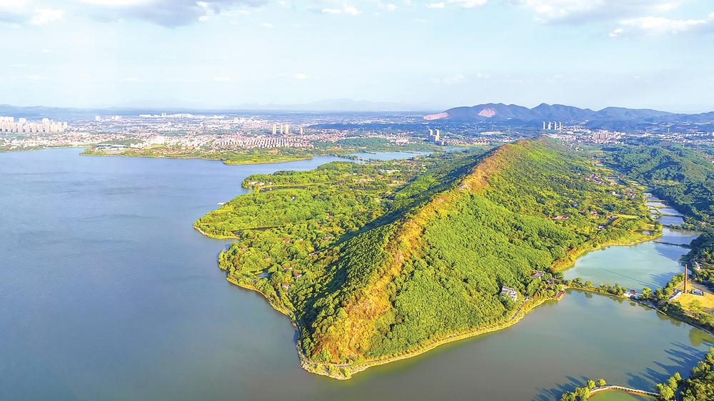 大视野健康产业集团