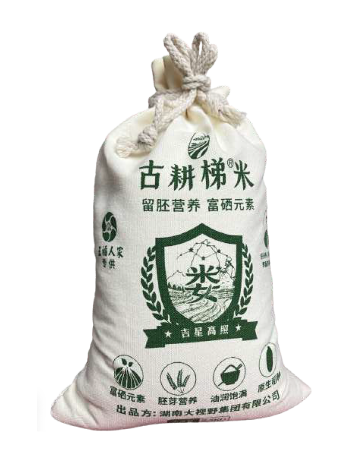 大视野健康产业集团